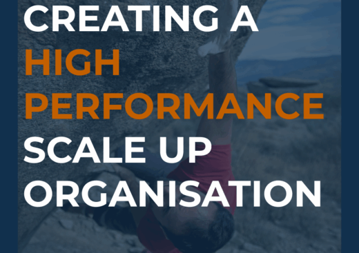 How to Create a High Performance Scale Up Organisation